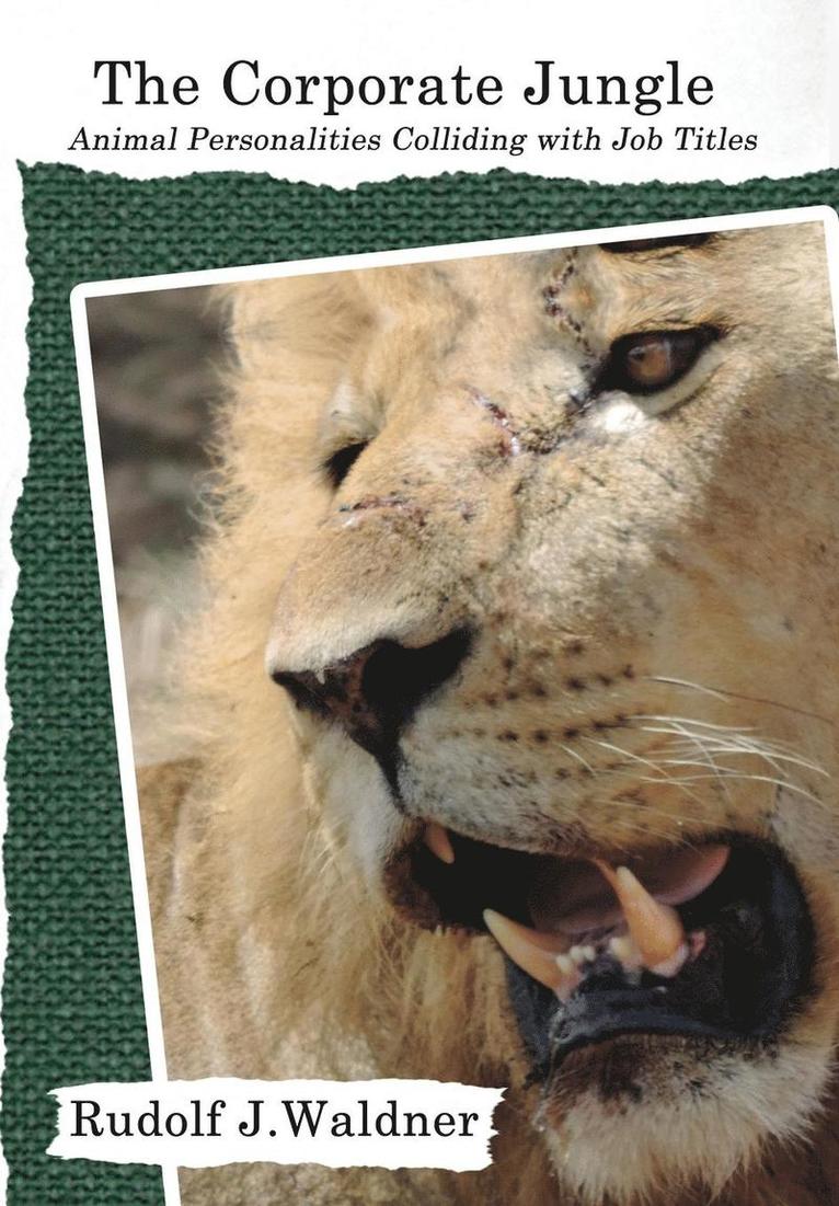 Corporate Jungle