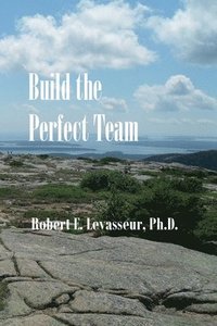 bokomslag Build the Perfect Team