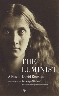 David Rocklin - The Luminist, Häftad