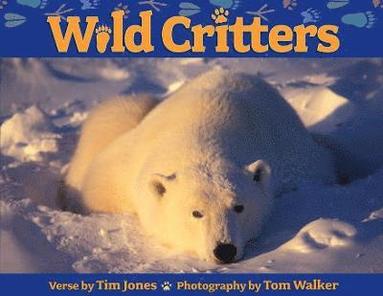 Tim Jones - Wild Critters, Häftad