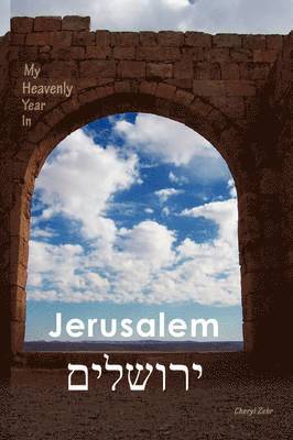 Cheryl Zehr - My Heavenly Year In Jerusalem, Häftad