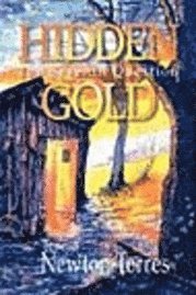 bokomslag Hidden Gold: The Seventh Question