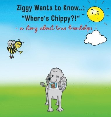 Ziggy Wants to Know... &quot;Where's Chippy&quot; 1