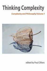 bokomslag Thinking Complexity