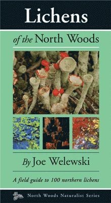 Joe Walewski - Lichens of the North Woods, Häftad