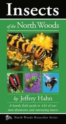 Jeffrey Hahn - Insects of the North Woods, Häftad