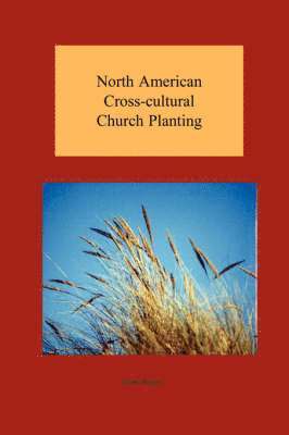 bokomslag North American Cross-cultural Church Planting