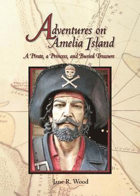 bokomslag Adventures on Amelia Island