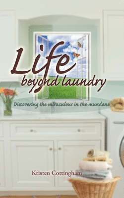 Life Beyond Laundry 1