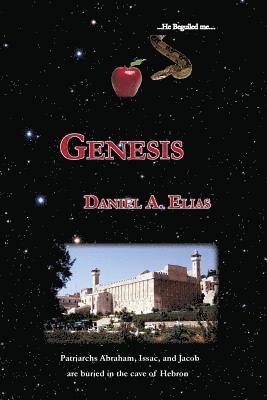 Genesis: a direct translation 1