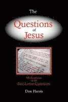 bokomslag The Questions of Jesus