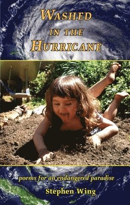 bokomslag Washed in the Hurricane