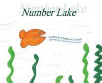 bokomslag Number Lake
