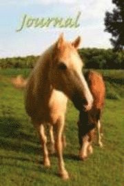 Horse Sense Journal 1