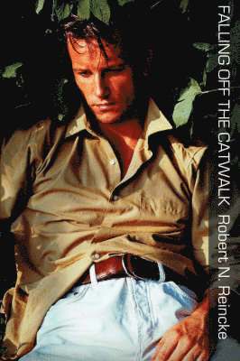 Robert N. Reincke - Falling Off the Catwalk, Häftad