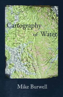 bokomslag Cartography of Water