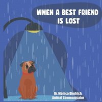 bokomslag When A Best Friend Is Lost