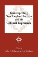 bokomslag Reinterpreting New England Indians and the Colonial Experience