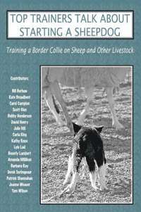 bokomslag Top Trainers Talk About Starting a Sheepdog