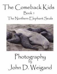 bokomslag "The Comeback Kids" Book 1, The Northern Elephant Seals