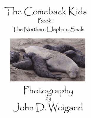 bokomslag "The Comeback Kids" Book 1, The Northern Elephant Seals