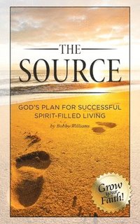 bokomslag SOURCE GODS PLAN FOR SUCCESSFU