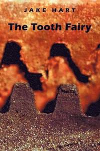 bokomslag The Tooth Fairy