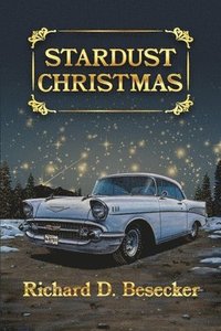 bokomslag Stardust Christmas