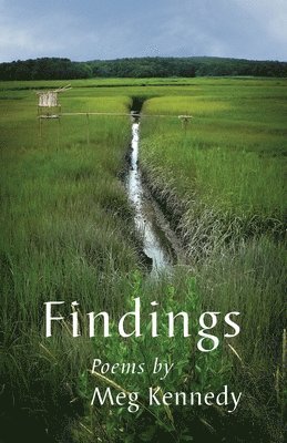 Meg Kennedy - Findings, Häftad