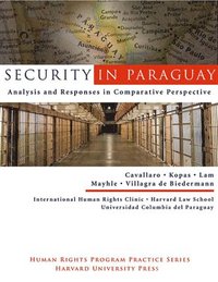 bokomslag Security in Paraguay