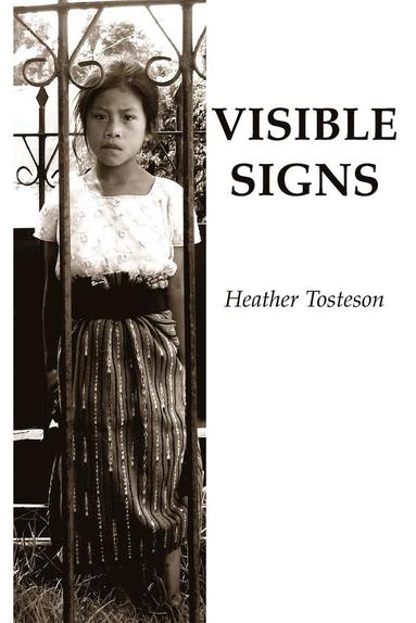 Heather Tosteson - Visible Signs, Häftad