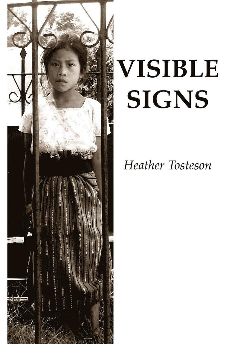 Heather Tosteson - Visible Signs, Häftad