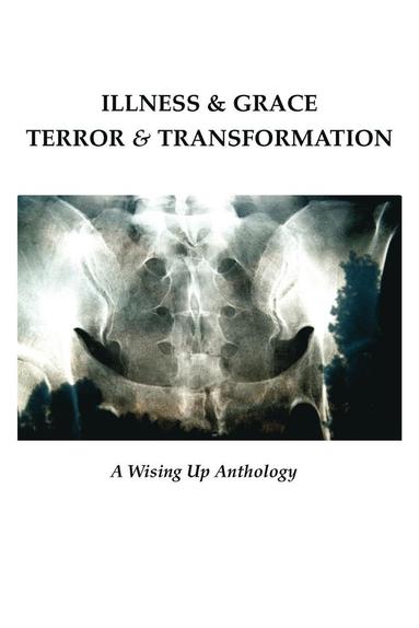 bokomslag Illness & Grace, Terror & Transformation