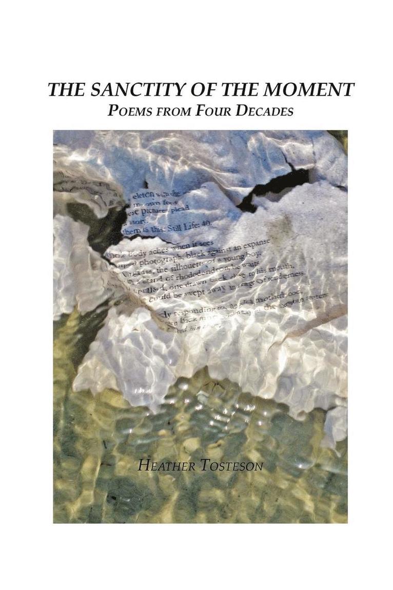 Heather Tosteson - Sanctity of the Moment, Häftad