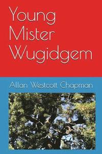 bokomslag Young Mister Wugidgem