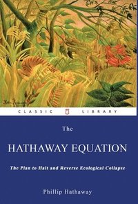 bokomslag The Hathaway Equation