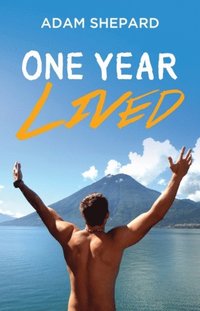 bokomslag Next Level Success: an essential primer for the real world