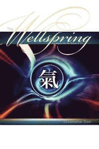 bokomslag The Wellspring: An Inquiry into the Nature of Chi