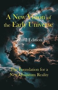 bokomslag New Vision of the Early Universe
