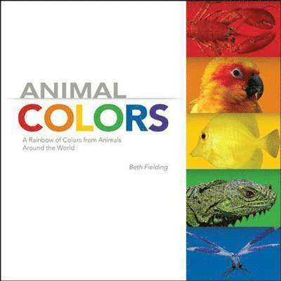 ANIMAL COLORS