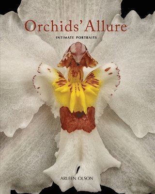 Orchids' Allure: Intimate Portraits 1