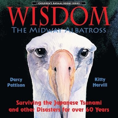 Darcy Pattison - Midway Albatross Wisdom, Häftad