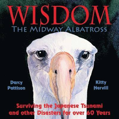The Midway Albatross Wisdom 1