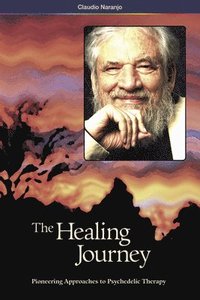 bokomslag The Healing Journey (2nd Edition)