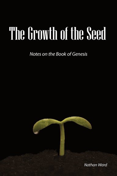 bokomslag Growth of the Seed