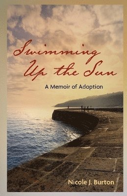 Nicole J. Burton - Swimming Up the Sun, Häftad
