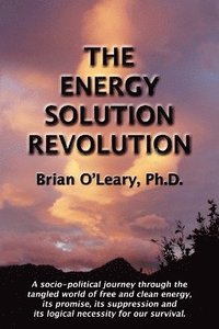 bokomslag The Energy Solution Revolution