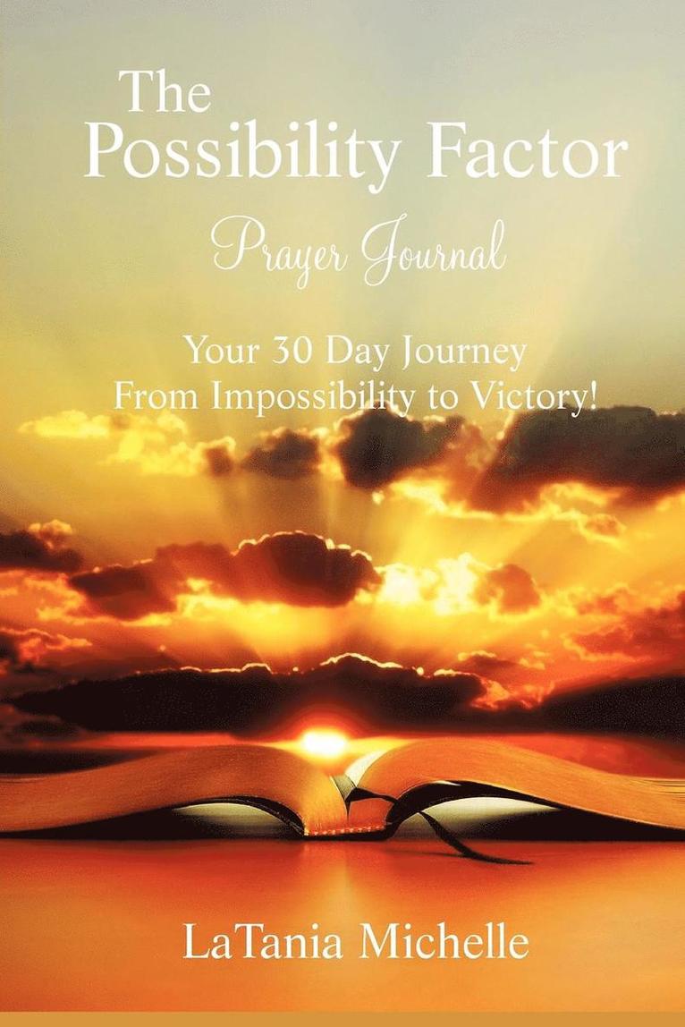 The Possibility Factor Prayer Journal 1