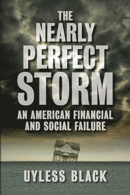 bokomslag The Nearly Perfect Storm: An American Financial and Social Failure