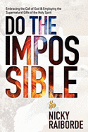 bokomslag Do the Impossible